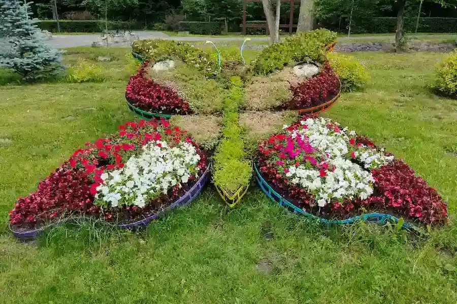 Common Mistakes To Avoid In Landscape Installation Projects in Peoria, AZ Common Mistakes To Avoid In Landscape Installation Projects in Peoria, AZ