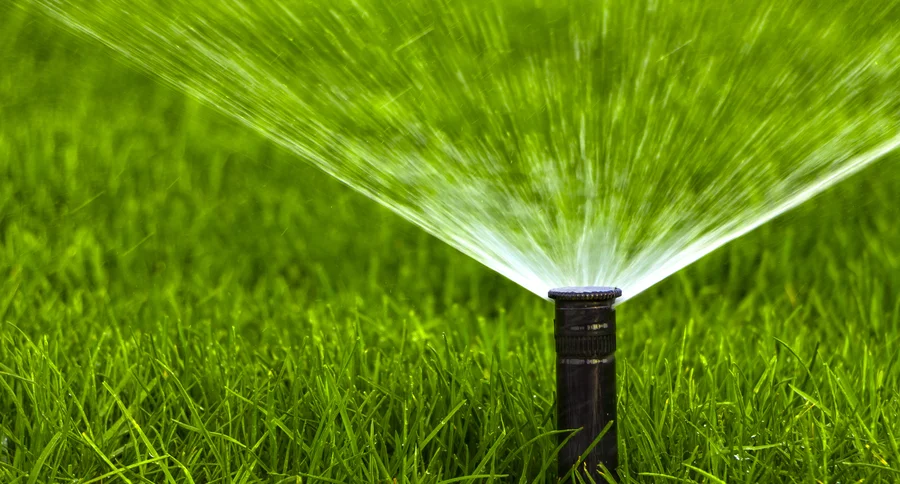The Role Of Irrigation In Sustainable Landscaping Practices Peoria, AZ