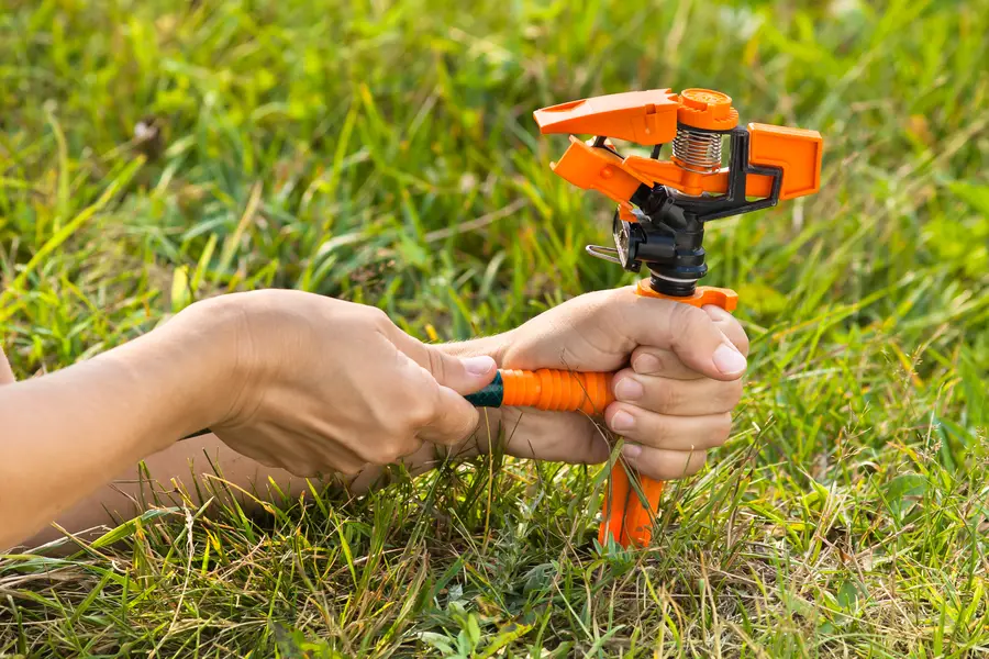 The Role Of Irrigation In Sustainable Landscaping Practices in Peoria, AZ