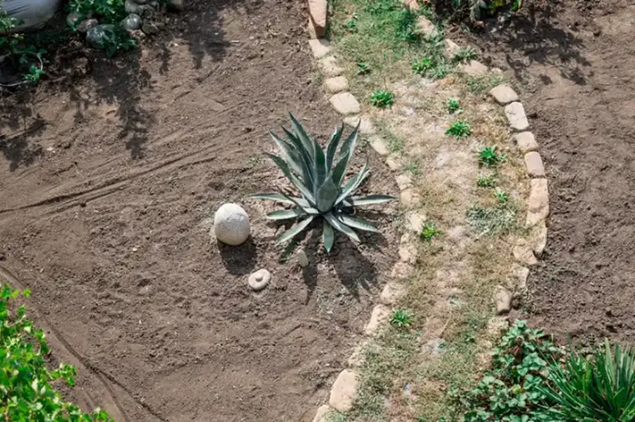 Understanding Soil Preparation For Landscape Installation Peoria, AZ